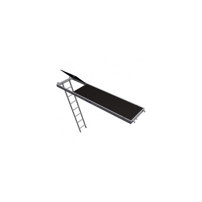 Plancher échaffaudage ( Trappe + échelle )